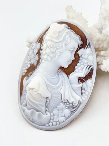 CASSIS MADAGASCARIENSIS - Cameo - Handgegraveerde camee