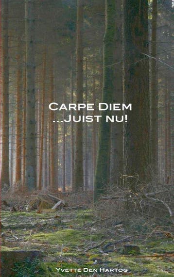 Carpe Diem juist nu! 9789461935458 Yvette den Hartog, Verzenden, Yvette den Hartog