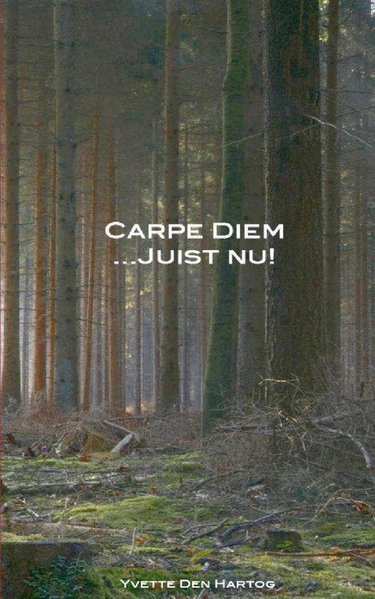 Carpe Diem juist nu! 9789461935458 Yvette den Hartog, Livres, Ésotérisme & Spiritualité, Envoi