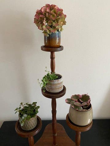 Étagère - Hout - Planten