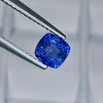Zonder minimumprijs Blauw Saffier - 1.18 ct - International, Nieuw