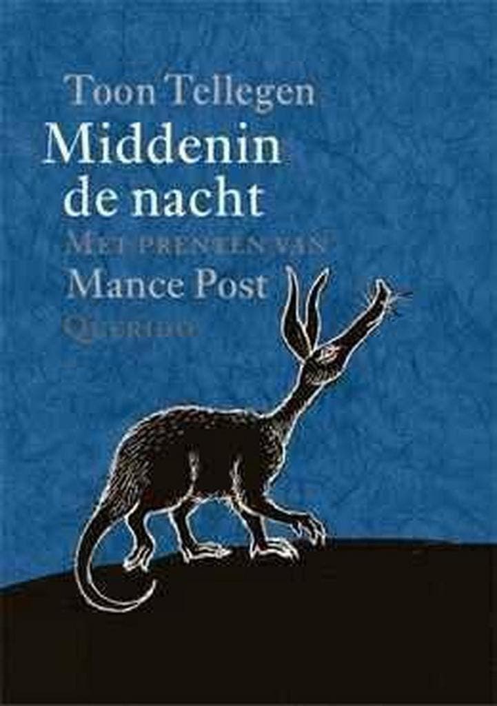 Middenin de nacht 9789045101439 Toon Tellegen, Boeken, Kinderboeken | Jeugd | 10 tot 12 jaar, Gelezen, Verzenden