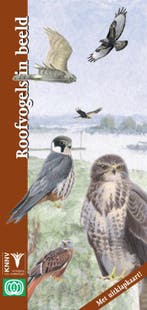 Roofvogels in beeld / In beeld / 19 9789050112741, Verzenden, Zo goed als nieuw, D.M. de Vos