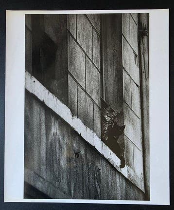 Edouard Golbin (1940) - Les chats - 3 exemplaires rares et