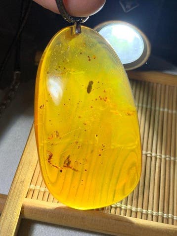Natuurlijke Birmese insectenamber Grote barnsteenhanger met