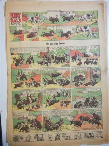 Mr and Mrs Beans (Buster Beans) - Bucky and his pals - 23, Nieuw