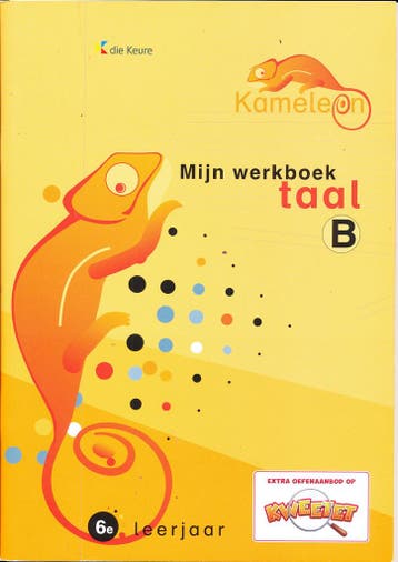 Kameleon Taal Werkboek B 6e leerjaar (per stuk), Verzenden, Nieuw