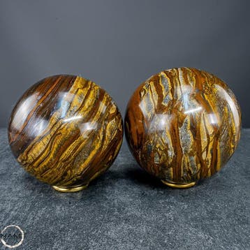 Tijgeroog-bolletjesset – twee expressieve, unieke exemplaren