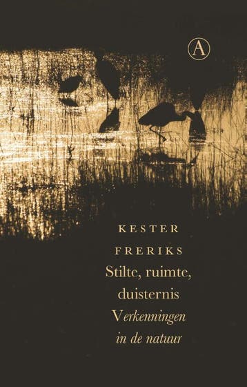 Stilte, ruimte, duisternis 9789025308568 Kester Freriks, Verzenden, Gelezen, Kester Freriks
