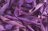 Velvet bean Milka 500 gram, Nieuw