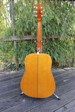 Framus - Dreadnought FD-Serie mit Fishman Tonabnehmer - -, Nieuw