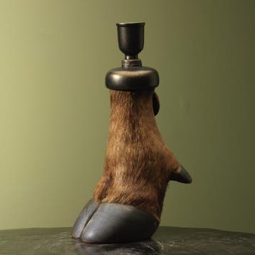 Hoef van Hertachtigen Taxidermie Opgezette Dieren By Max, Ophalen of Verzenden, Nieuw, Wild dier, Opgezet dier