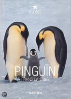 Pingun 9783836508841 Dabner, Verzenden, Dabner