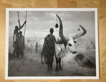 Sebastião Salgado (1944–2025) - Genesis. Kei, Southern