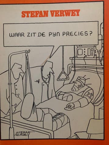 Waar zit de pijn precies? 9789061693185 Verwey, Boeken, Verzenden, Gelezen, Verwey