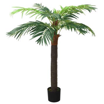 Phoenixpalm 190cm | OP = OP | Laatste stuks aan bodemprijs, Verzenden, Gebruikt, Binnen