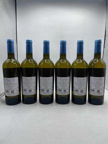 2022 Prinsi Camp D Pietru Sauvignon Vino Bianco - Langhe -, Nieuw