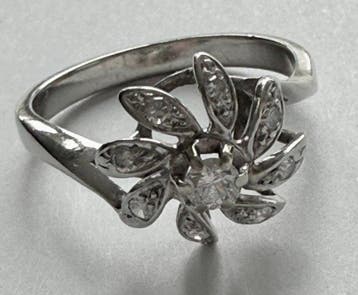 Ring - 14 karaat Witgoud Diamant (Natuurlijk) - Diamant, Nieuw