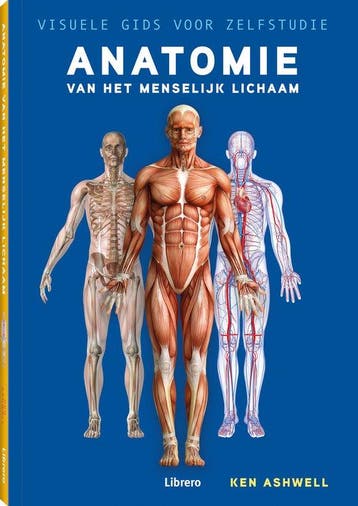 Anatomie van het menselijk lichaam 9789463597227 Ken Ashwell, Verzenden, Ken Ashwell