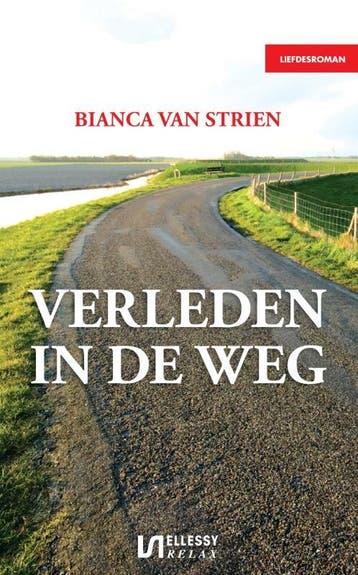 Verleden in de weg 9789086601332 Bianca van Strien, Verzenden, Zo goed als nieuw, Bianca van Strien