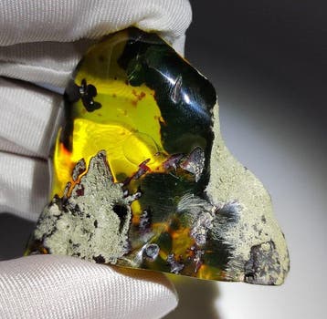 Mexicaanse amberfossiel Chiapas!! AAA- 40 g