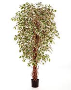 Kunstplant Ficus Hawaiian Mixed 180 cm, Verzenden