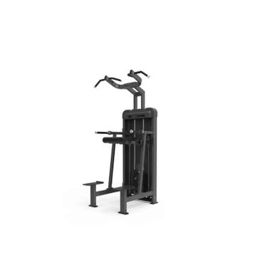 Gymfit - Luxury-line - Dip/chin Assistant - L102, Sports & Fitness, Ophalen of Verzenden