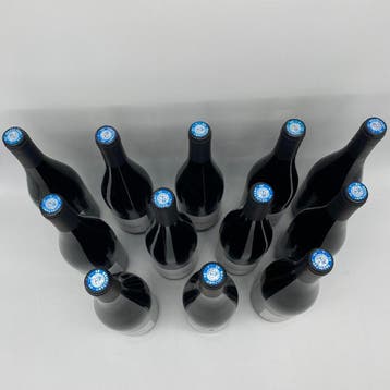2020 Chateau Saint Marie Astérie - Gironde - 12 Flessen