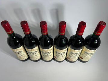 1995 Château St. Jacques Calon - Montagne-Saint-Émilion - 6