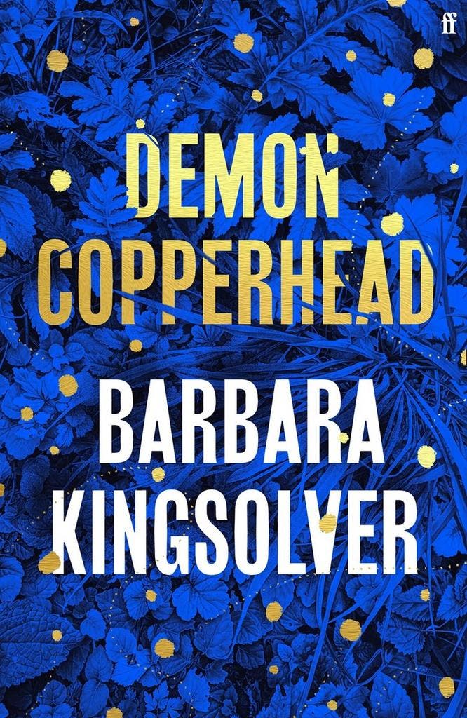 Demon Copperhead 9780571376476 Barbara Kingsolver, Boeken, Taal | Engels, Zo goed als nieuw, Verzenden