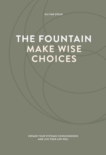 The Fountain, Make Wise Choices | Els Steijn | Nieuw, Verzenden, Nieuw, Els Steijn