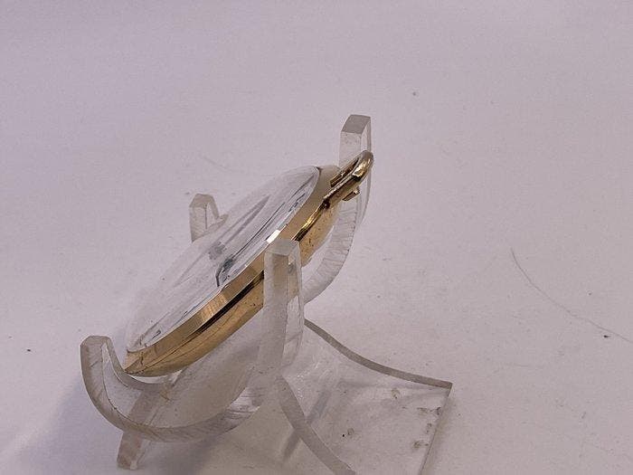 Rowil 17 Rubis . Placcato oro . 1970 . - 1970-1979, Handtassen en Accessoires, Horloges | Heren