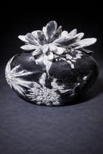 Uitzonderlijke chrysantenbloem-displaysteen voor, Verzamelen