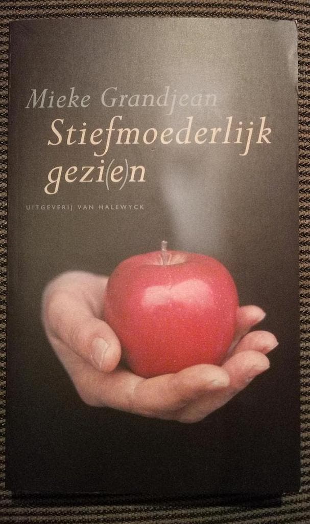 Stiefmoederlijk gezi(e)n 9789056170790 Michael Grandjean, Livres, Politique & Société, Envoi