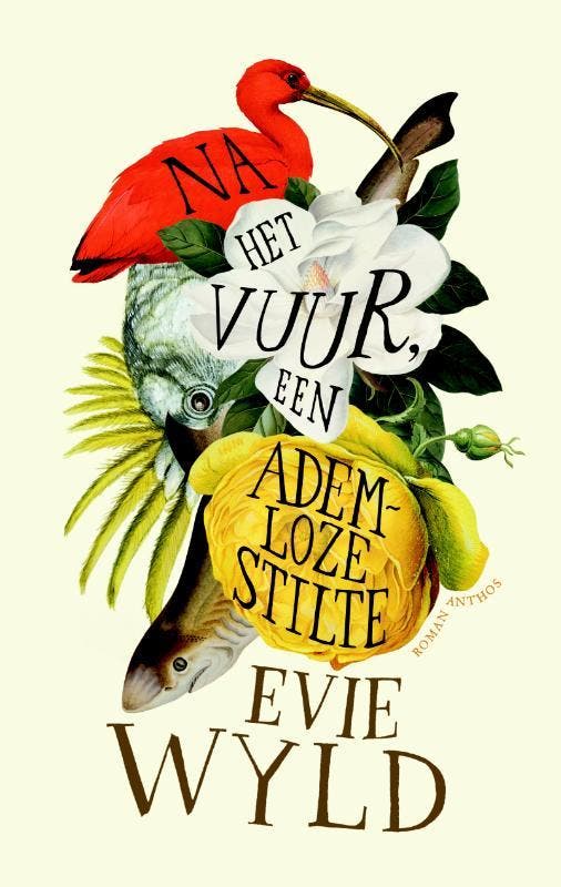 Na het vuur, een ademloze stilte 9789041416469 E. Wyld, Livres, Romans, Envoi