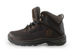 Timberland Veterboots in maat 41 Bruin, Bruin, Verzenden, Timberland, Boots