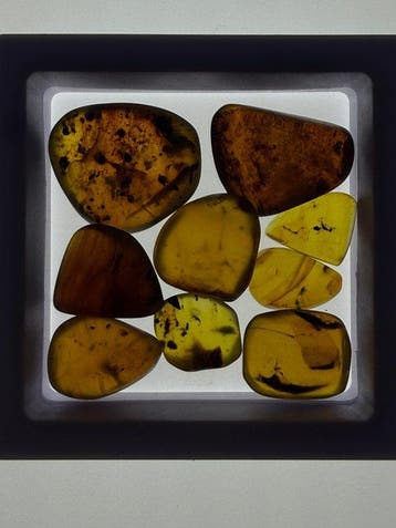 Birmese Barnsteen 10 stukken 14.44 gram met