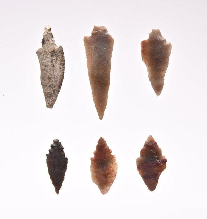 6 neolithische pijlpunten vuursteen Pijlpunt (Zonder, Antiek en Kunst, Antiek | Overige Antiek