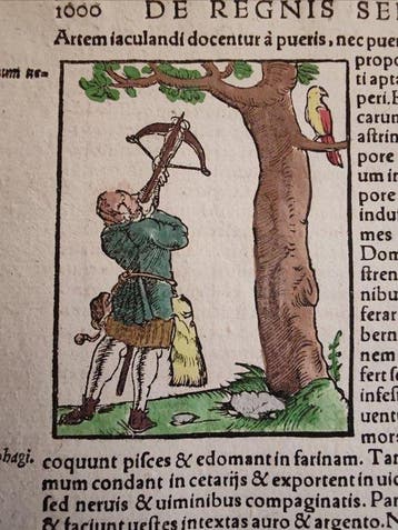 Sebastian Münster (1489–1552) - Cosmografia Universale -