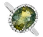 Sans prix de réserve - Bague - 14 carats Or blanc - 4.84ct.