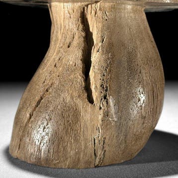 PAS DE PRIX DE RÉSERVE - Champignon en bois pétrifié sculpté, Antiquités & Art