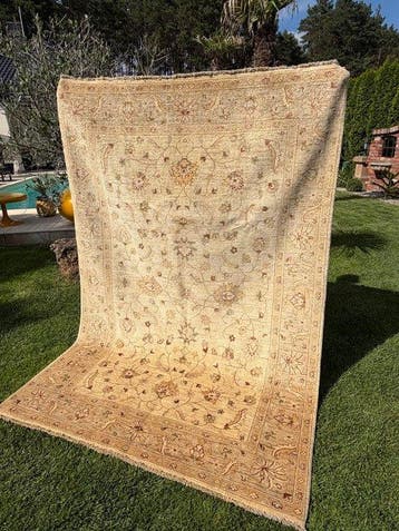 Tapis Ziegler tout neuf - Tapis - 245 cm - 165 cm