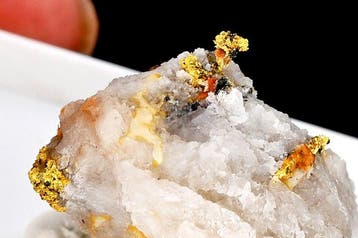 IMPORTANT alpine Native Gold de la célèbre localité de