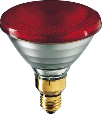 Philips Infraroodlamp met reflector - 60053015, Verzenden, Nieuw