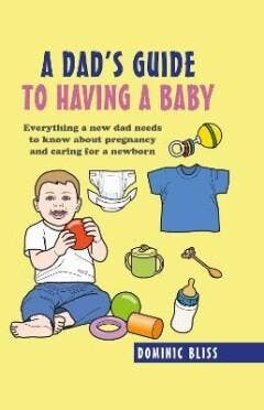 Dads Guide to Having a Baby 9781911026822 Dominic Bliss, Livres, Verzenden, Dominic Bliss