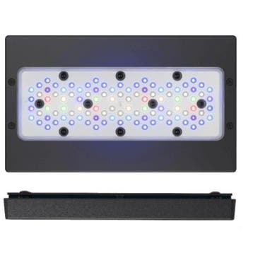 Ecotech Radion XR30 G5 Pro (Uitverkoop!), Verzenden