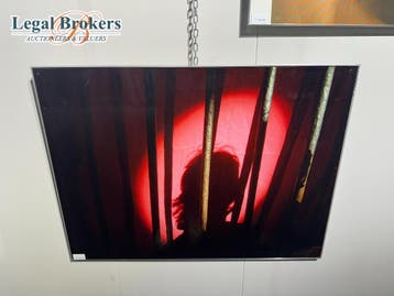 Hubertus Hohenlohe - Behind Pink Bars, Ophalen of Verzenden, Zo goed als nieuw, Overige typen