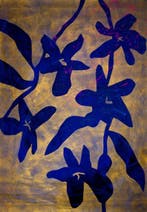 Lupo - Urban Jungle 417 - Certificated - Real Gold - XXL