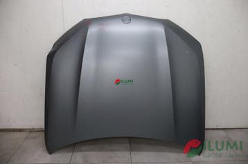 Motorhu lid BMW X5 G05 X6 G06 2018-, Verzenden