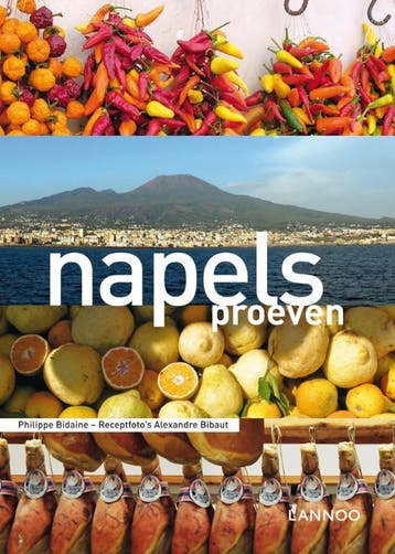 Napels proeven 9789020990430 Philippe Bidaine, Verzenden, Gelezen, Philippe Bidaine